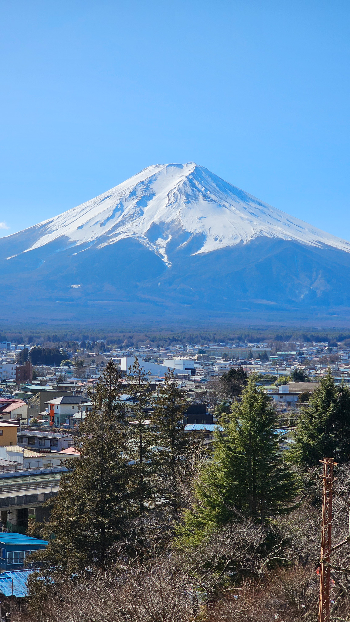 Falling Head Over Heels for Fuji- A Love Story in Three Acts