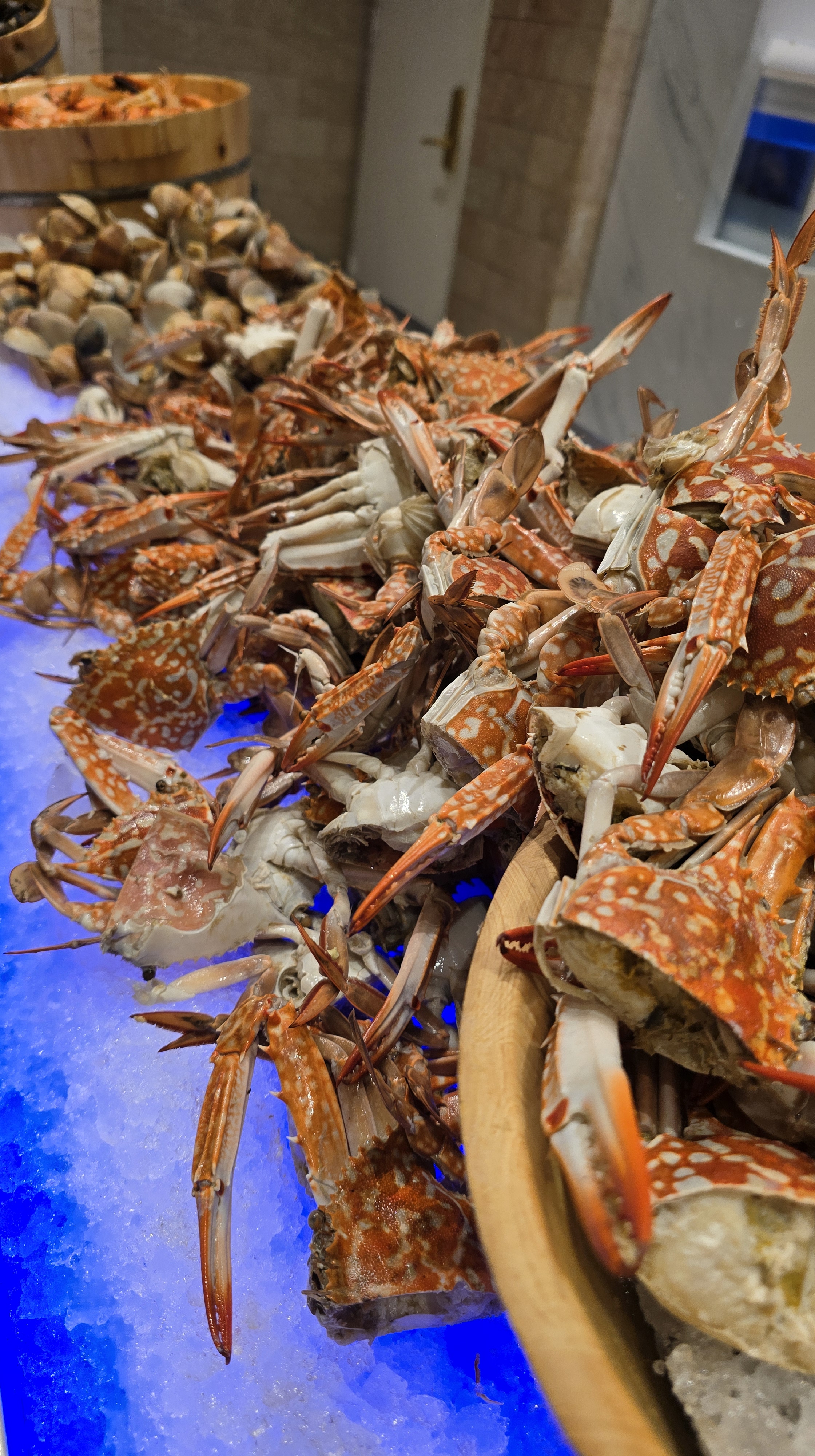 Medley Buffet – Is This Fancy Feast Worth It?